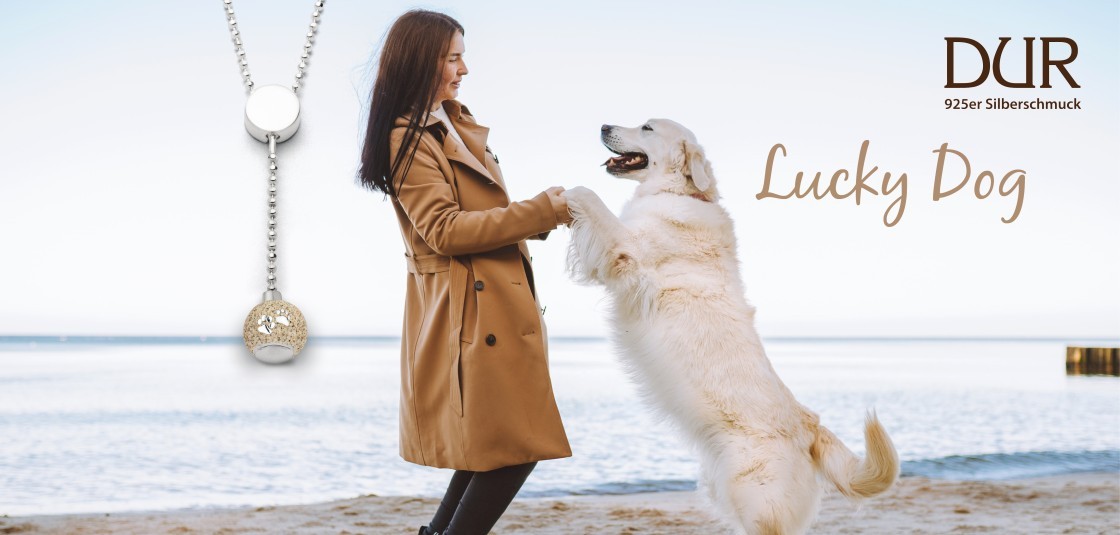 Slider: Lucky Dog