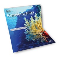 Deko-Display "Korallenwelt" Selbstkostenpreis 15&euro;